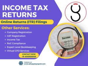 income-tax-return-itr-filing-rohtak