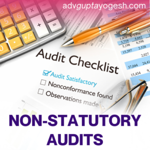 Non-Statutory Audits