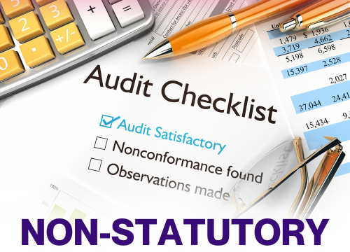 Non-Statutory Audits